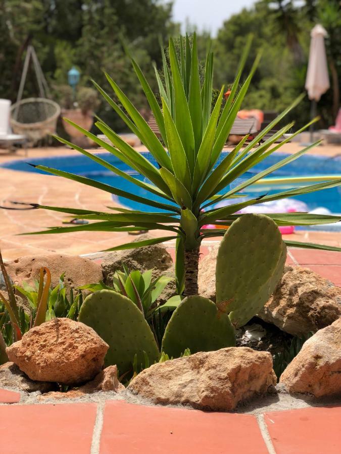 Micasa Ibiza Villa San Antonio  Luaran gambar